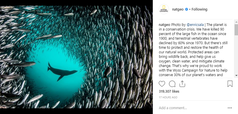 National Geographic top brands on Instagram